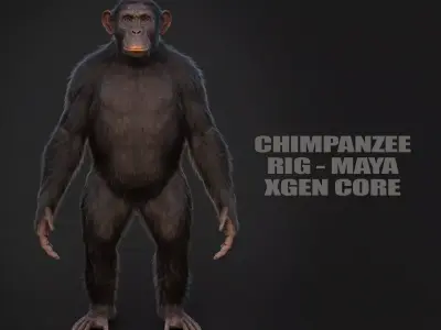 Chimpanzee RIG Xgen Core 3D model