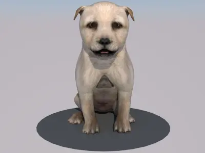 Puppy dog animations Low-poly 3D model