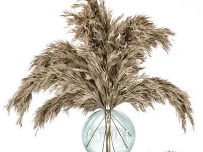 Dried flower- bouquet 006  3D model