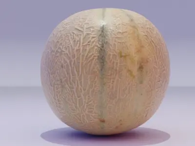 Melon Low-poly 3D model