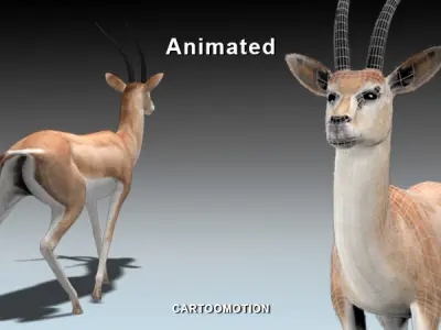 GAZELLE two animated antelopes Low-poly 3D model