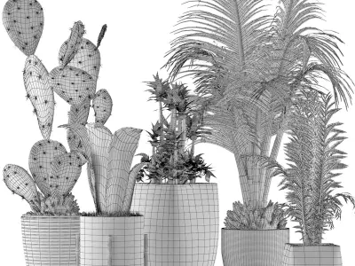 Plants Collection 21 3D model