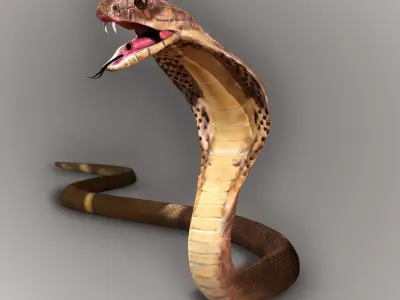 King Cobra Snake - Rigged Low-poly 3D model