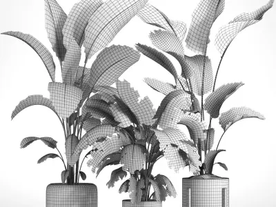 indoor plant 043 3D model