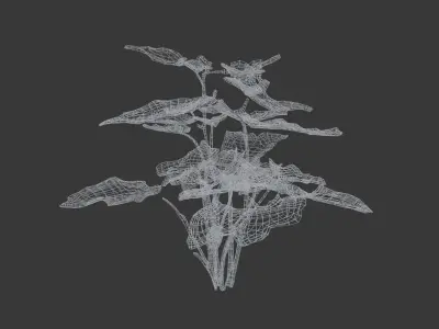 house plant 3D model