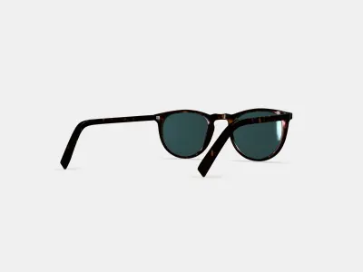 Haskell Sunglasses in Whiskey Tortoise 3D model