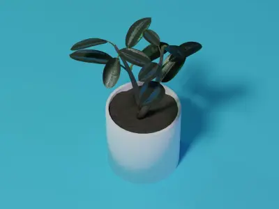 Ficus Burgundy Rubber Tree PBR Ready for Unreal Engine 5 Low-poly 3D model