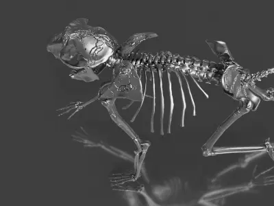 Silver Baboon Skeleton 3D model