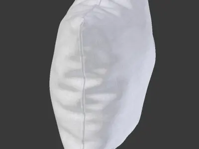 Piped Pillow 3 3D model