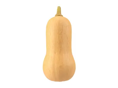 Photorealistic Butternut Squash 3D Scan 3D model