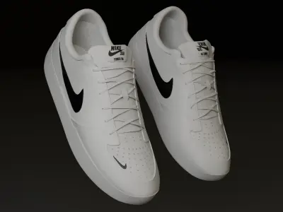 Nike SB force 58 premium shoes 3D model