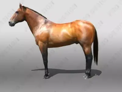 Horse running 3D model