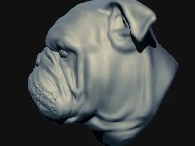 3D English Bulldog head 3D model