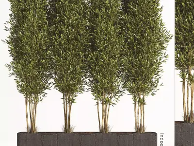 Indoor Plant Set 06 3D model