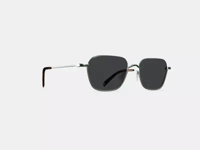 Healey Sunglasses in Polished Silver 3D model