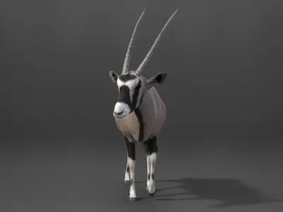 African Oryx Animated VFX Grace 3D model