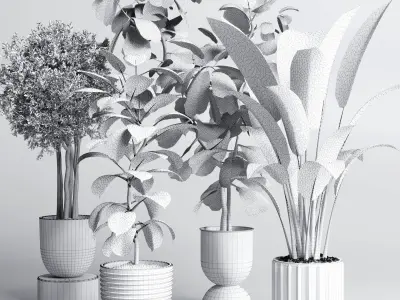 indoor plant pot plant ficus rubbery tree concrete dirt vase 3D model