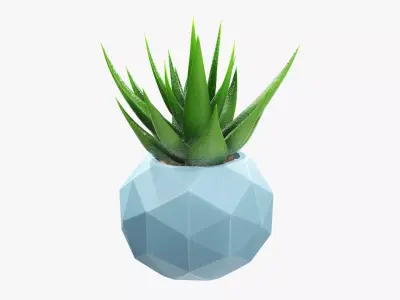 Succulent in planter pot 01 3D model