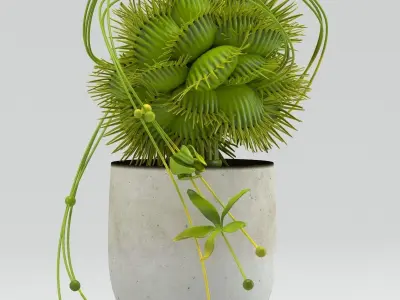 Vase 29 flycatcher flower Dionaea 3D model