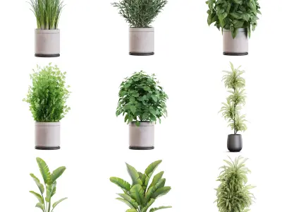 Plants collection vol 50