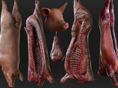 Carcasses Low-poly 3D model