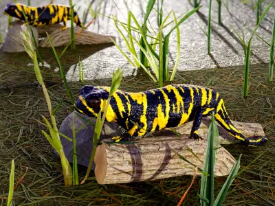 Tiger Salamander 3D model