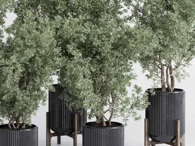 indoor plant set 381 tree bush concrete dirt vase Low-poly 3D model