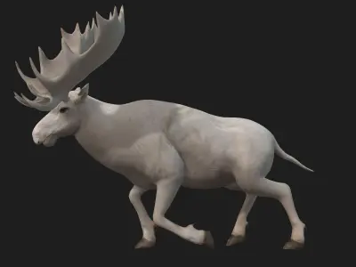 Moose-B3 3D model