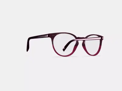 Blakeley Eyeglasses in Oxblood Fade 3D model