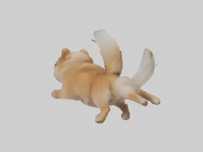Pomeranian jumping model Low-poly 3D model