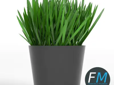 Grass in a pot 1 3D model