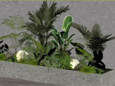 Tropical Plant Combination 3D model
