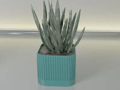 pot plant succulent 15 3D print model