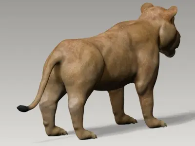 Lion and lioness Low-poly 3D model