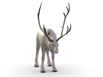 High Poly Realistic Reindeer 3D model