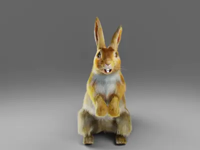 Fur Rabbit V01 Rigged in Blender Low-poly 3D model