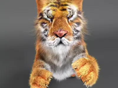 Rigged Tiger Upgraded v2 Low-poly 3D model