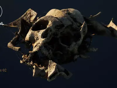 Broken Skull with Spiderwebs and Cobwebs for Unreal  Engine 5 3D model