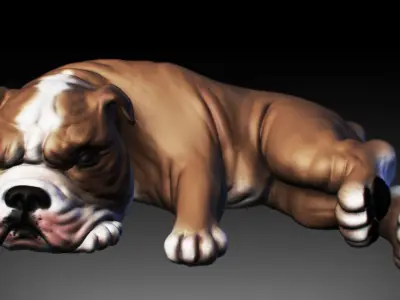 Bull dog   Low-poly 3D model