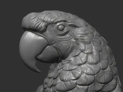 Parrot Ara bust 3D print model