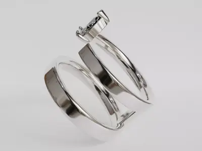 double ring 3D print model