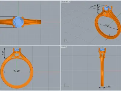 ring code 107 3D print model