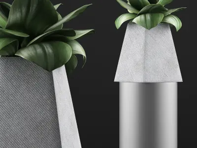 Plants Collection 112 3D model