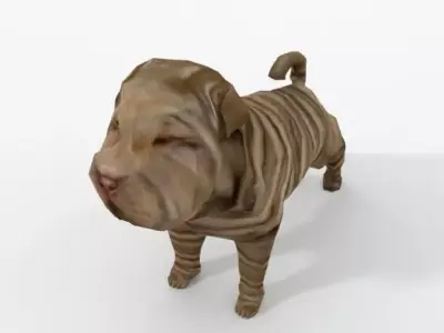 Shar Pei Low-poly 3D model