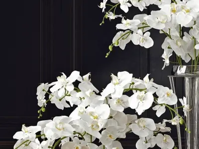 Floor standing orchid arrangement 3D model