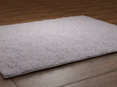 Floor and carpet 3D model