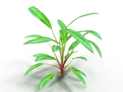 Set of aquarium plants 3D model