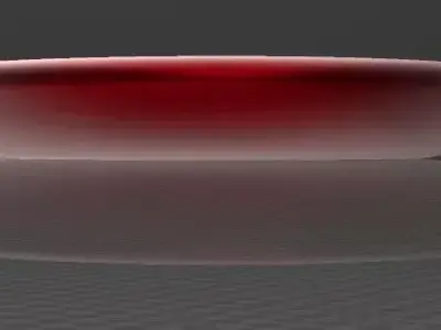 Regular and Golf Frisbee 3D print model