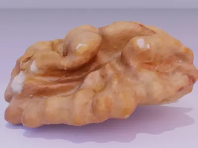 Walnut half kernel 01 high-poly 3D model