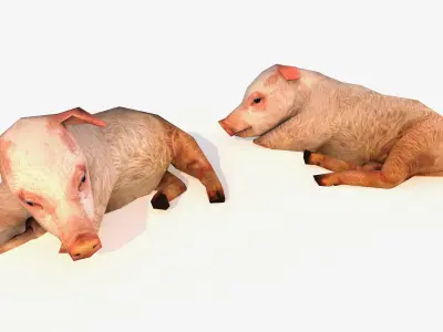 Low-Poly Pig Male Rigged 3D model Low-poly 3D model